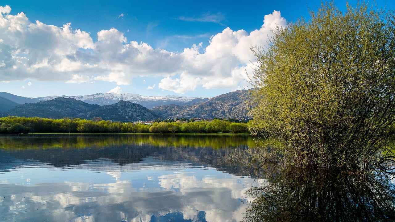 ¿Qué formación podría utilizar el Real Madrid contra Mallorca?