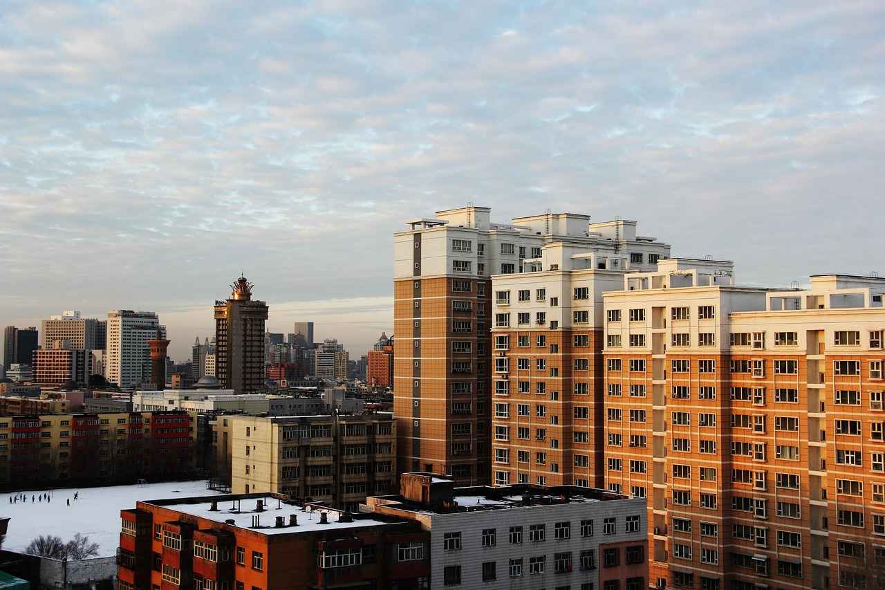 R.C.D. Mallorca: Análisis de la Alineación