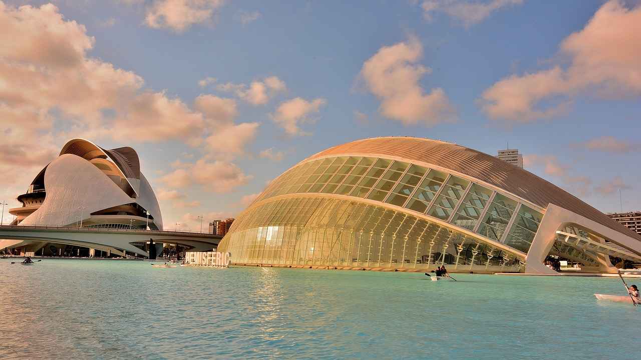 El Papel de los Entrenadores