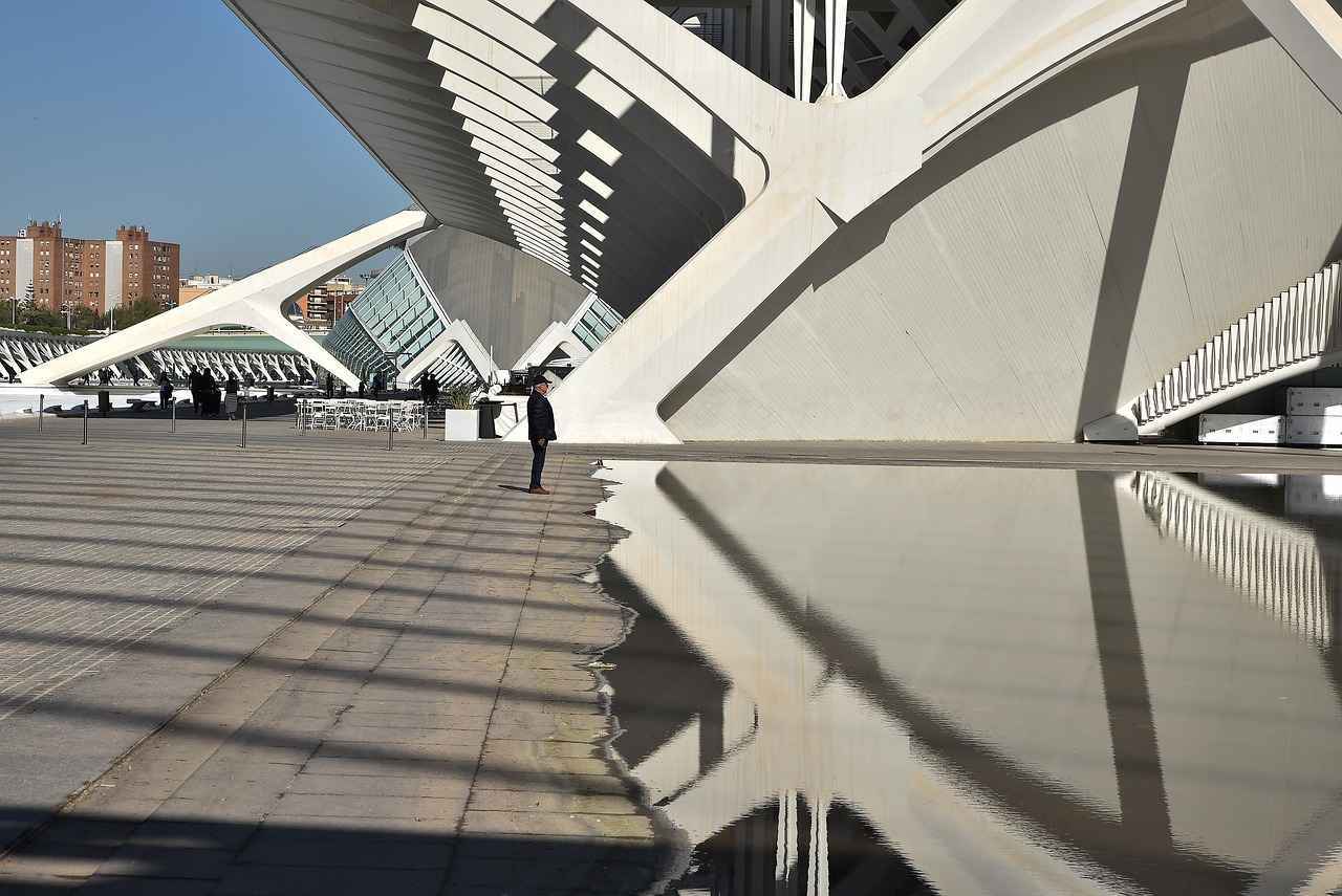 Conclusiones y Reflexiones Finales