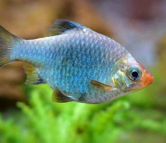 Alineaciones De Villarreal Club De Fútbol Contra Atlético De Madrid En Duelo Cerrado Alineaciones De Villarreal Club De Fútbol Contra Atlético De Madrid En Duelo Cerrado