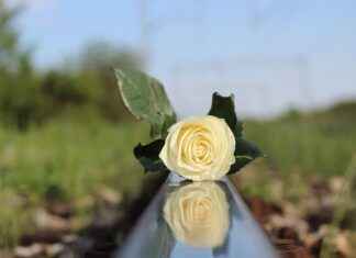 asf1 – Qué significa y por qué es relevante en el ámbito académico asf1 – Qué significa y por qué es relevante en el ámbito académico