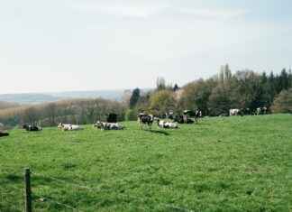 avet et – Qué es Avet Et y por qué es relevante en el ámbito académico actual avet et – Qué es Avet Et y por qué es relevante en el ámbito académico actual