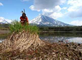 babosas sexual – Qué son y por qué generan tanta curiosidad en internet babosas sexual – Qué son y por qué generan tanta curiosidad en internet
