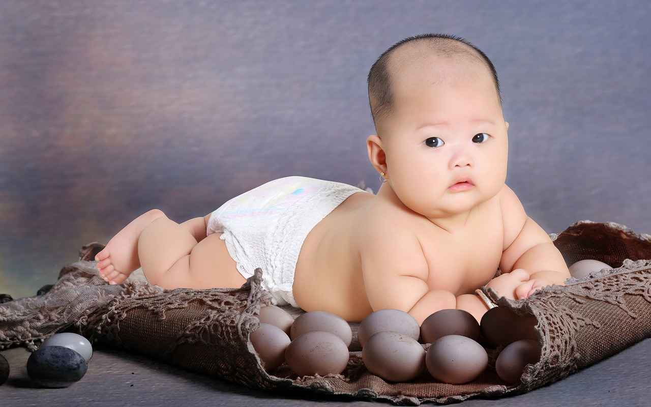 babosas sexual – Qué son y por qué generan tanta curiosidad en internet 4 ¿Qué papel ecológico desempeñan las babosas sexuales?