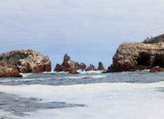 balleta – Tipos, usos y cómo elegir la mejor para limpiar sin esfuerzo balleta – Tipos, usos y cómo elegir la mejor para limpiar sin esfuerzo