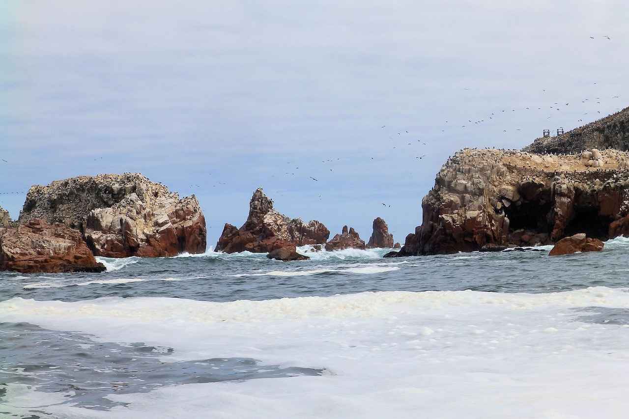 ¿Cuáles son los beneficios de usar una balleta para limpiar?