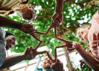 Banca En Línea Del Banco Nacional De Panamá: Cómo Acceder Y Operar Banca En Línea Del Banco Nacional De Panamá: Cómo Acceder Y Operar