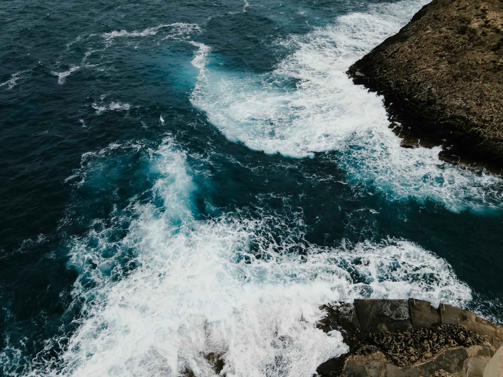 Historia de la estética black and white black