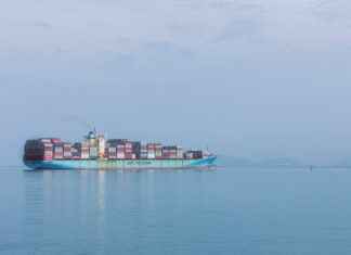 Bono Solidario Panamá Por Cédula Verificar: Consulta Rápida En Línea Bono Solidario Panamá Por Cédula Verificar: Consulta Rápida En Línea