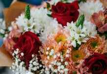 bouquet bouquet bouquet – Ideas creativas para crear un bouquet bouquet bouquet único y elegante bouquet bouquet bouquet – Ideas creativas para crear un bouquet bouquet bouquet único y elegante