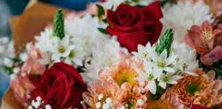 bouquet bouquet bouquet – Ideas creativas para crear un bouquet bouquet bouquet único y elegante bouquet bouquet bouquet – Ideas creativas para crear un bouquet bouquet bouquet único y elegante