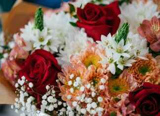 bouquet bouquet bouquet – Ideas creativas para crear un bouquet bouquet bouquet único y elegante bouquet bouquet bouquet – Ideas creativas para crear un bouquet bouquet bouquet único y elegante