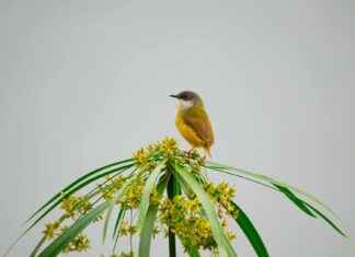 Breckie Hill Perfil de OnlyFans – ¿Tiene fotos o videos filtrados? Breckie Hill Perfil de OnlyFans – ¿Tiene fotos o videos filtrados? # Breckie Hill Perfil de OnlyFans – ¿Tiene fotos o videos filtrados?