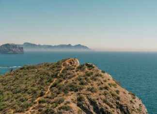 Cámara De Comercio Industrias Y Agricultura De Panamá: Funciones Y Eventos Cámara De Comercio Industrias Y Agricultura De Panamá: Funciones Y Eventos