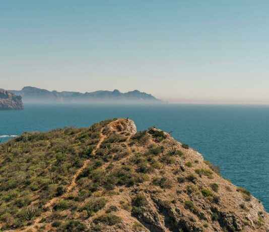 Cámara De Comercio Industrias Y Agricultura De Panamá: Funciones Y Eventos Cámara De Comercio Industrias Y Agricultura De Panamá: Funciones Y Eventos