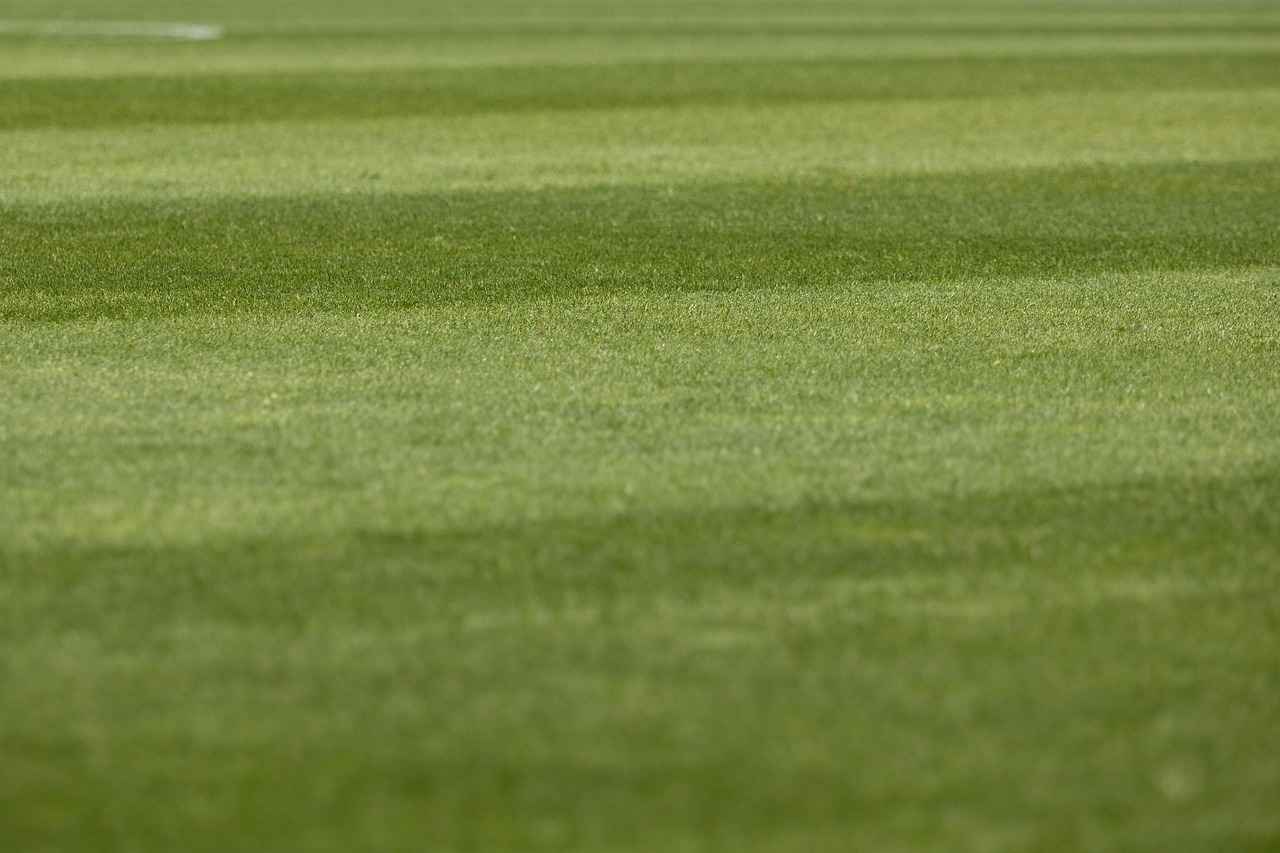 ¿Quiénes son los jugadores más destacados del Manchester City en la Champions?