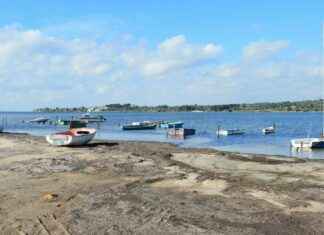 Clamp Clamp – Qué es un clamp clamp y para qué se usa en mecánica o medicina Clamp Clamp – Qué es un clamp clamp y para qué se usa en mecánica o medicina