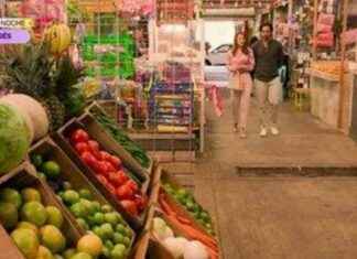 Cómo ganar dinero con un negocio de amor: Lucha por la presidencia de la empresa cmo-ganar-dinero-con-un-negocio-de-amor-lucha-por-la-presidencia-de-la-empresa