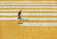 Combustible Panamá Solidario Gob Pa: Subsidios Y Monto Que Te Corresponde Combustible Panamá Solidario Gob Pa: Subsidios Y Monto Que Te Corresponde