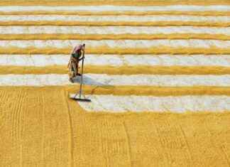 Combustible Panamá Solidario Gob Pa: Subsidios Y Monto Que Te Corresponde Combustible Panamá Solidario Gob Pa: Subsidios Y Monto Que Te Corresponde