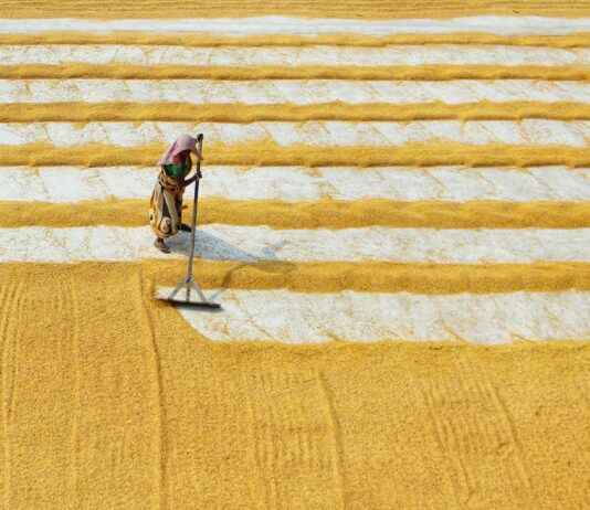 Combustible Panamá Solidario Gob Pa: Subsidios Y Monto Que Te Corresponde Combustible Panamá Solidario Gob Pa: Subsidios Y Monto Que Te Corresponde