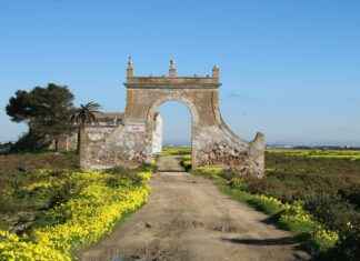 Cómo aliviar el dolor de ciática en 2 minutos – Técnicas inmediatas que puedes aplicar en casa Cómo aliviar el dolor de ciática en 2 minutos – Técnicas inmediatas que puedes aplicar en casa