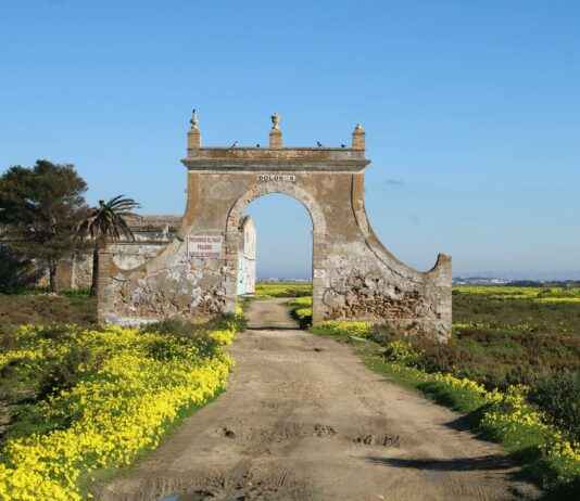 Cómo aliviar el dolor de ciática en 2 minutos – Técnicas inmediatas que puedes aplicar en casa Cómo aliviar el dolor de ciática en 2 minutos – Técnicas inmediatas que puedes aplicar en casa
