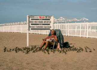 como limpiar un colchon – Técnicas eficaces para eliminar manchas y malos olores como limpiar un colchon – Técnicas eficaces para eliminar manchas y malos olores