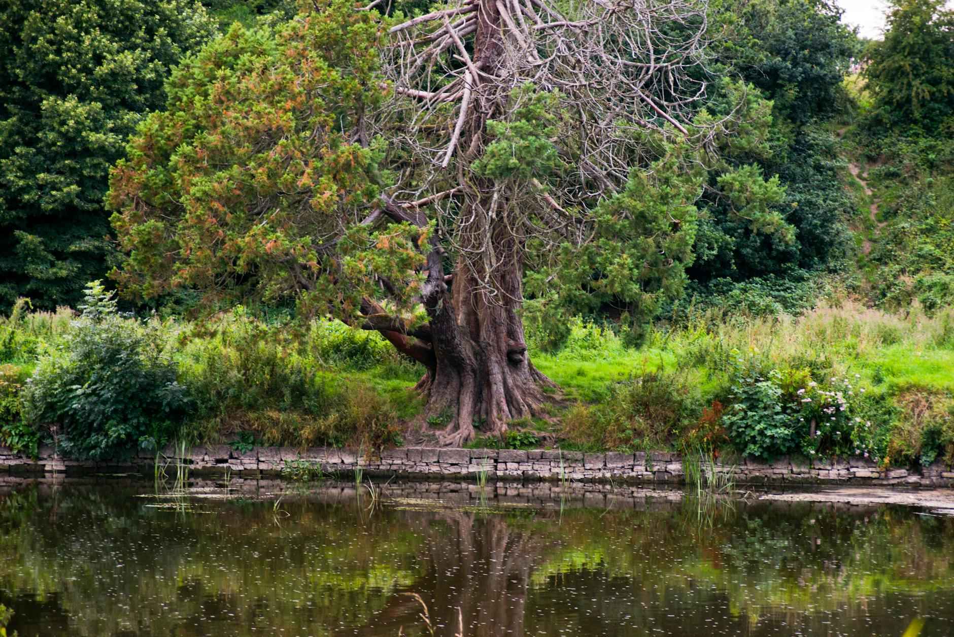 Pasos para limpiar un colchón correctamente
