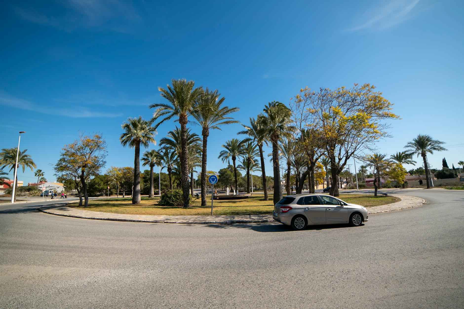 Cómo llegar a Valencia – Las mejores opciones de transporte y rutas recomendadas 6 Consejos para planificar tu viaje a Valencia