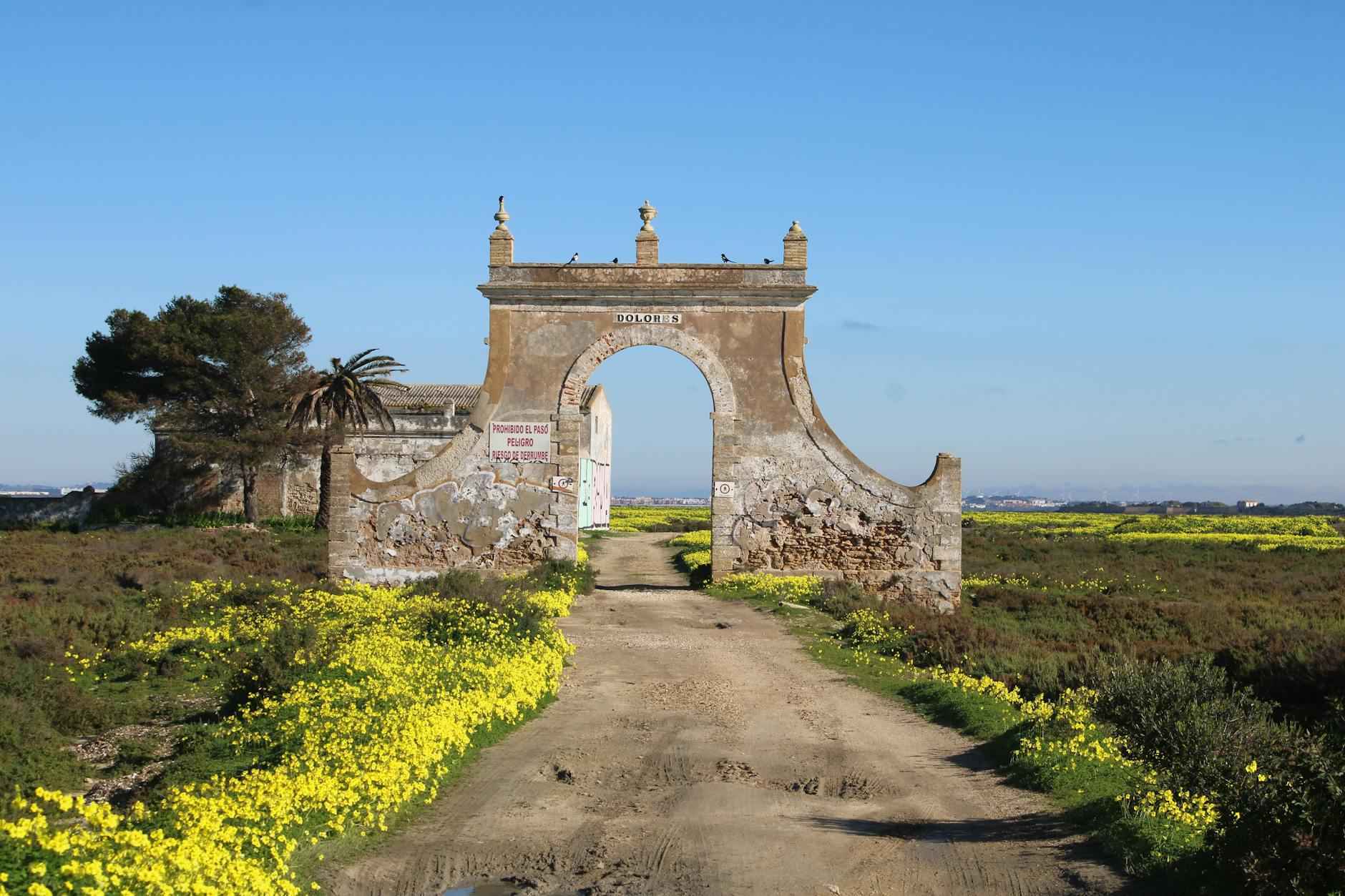 ¿Qué tratamientos alternativos son efectivos para el dolor de rodilla?