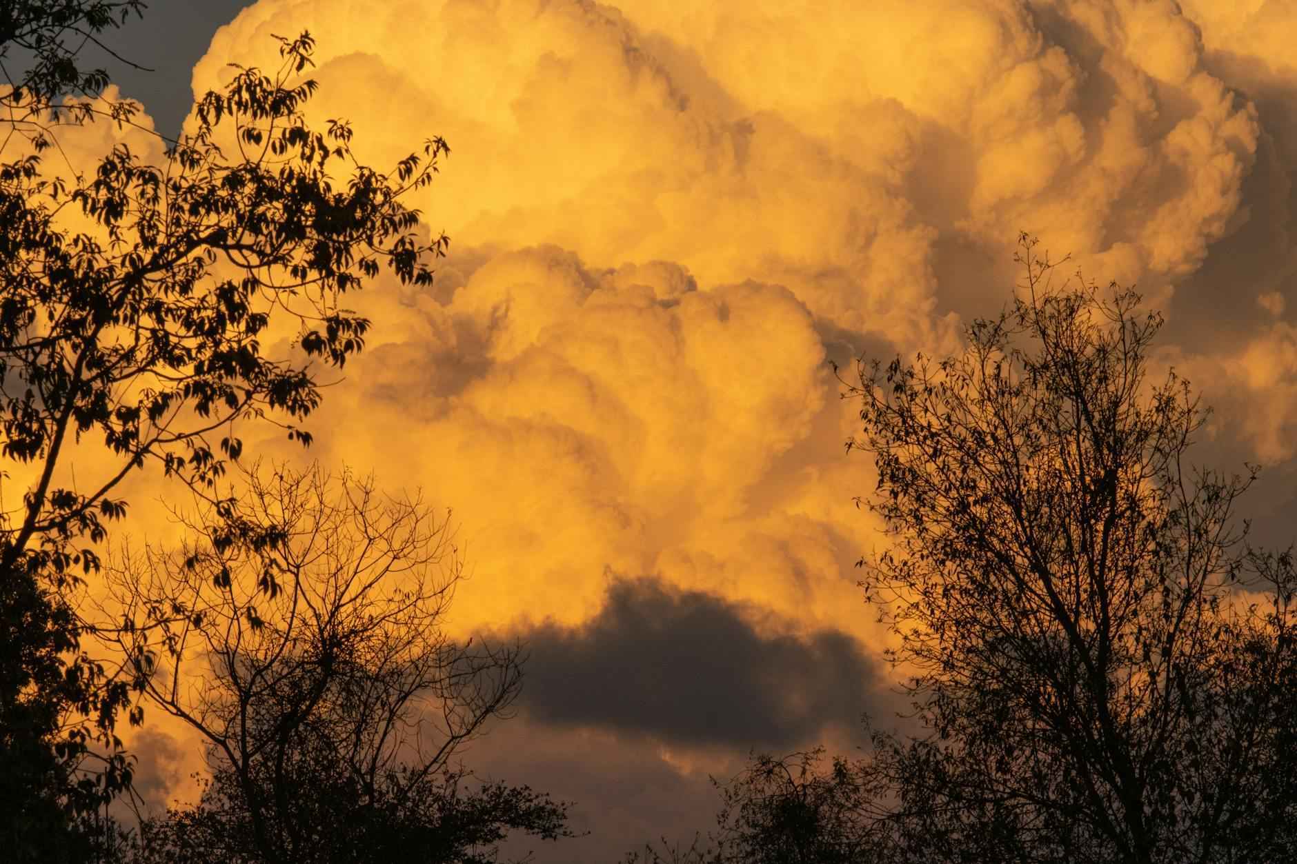 Prueba del imán: ¿Es oro magnético?