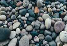 Consulta De Saldo Tarjeta Metro Bus Panamá: Verifica Tu Balance Online Consulta De Saldo Tarjeta Metro Bus Panamá: Verifica Tu Balance Online