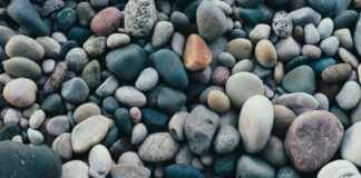 Consulta De Saldo Tarjeta Metro Bus Panamá: Verifica Tu Balance Online Consulta De Saldo Tarjeta Metro Bus Panamá: Verifica Tu Balance Online