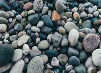 Consulta De Saldo Tarjeta Metro Bus Panamá: Verifica Tu Balance Online Consulta De Saldo Tarjeta Metro Bus Panamá: Verifica Tu Balance Online