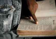 Drea De Matteo Perfil de OnlyFans – ¿Tiene fotos o videos filtrados? Drea De Matteo Perfil de OnlyFans – ¿Tiene fotos o videos filtrados?