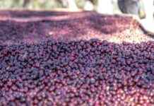 Embajada De Nicaragua En Panamá: Servicios Consulares Y Visas Embajada De Nicaragua En Panamá: Servicios Consulares Y Visas