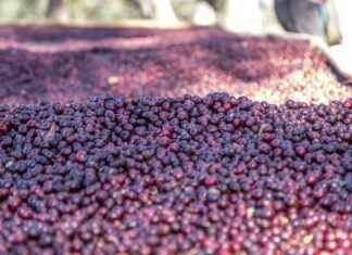 Embajada De Nicaragua En Panamá: Servicios Consulares Y Visas Embajada De Nicaragua En Panamá: Servicios Consulares Y Visas