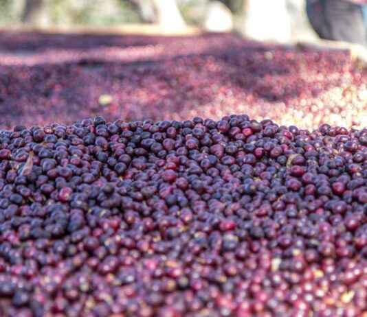 Embajada De Nicaragua En Panamá: Servicios Consulares Y Visas Embajada De Nicaragua En Panamá: Servicios Consulares Y Visas