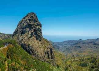 Escuela De Manejo En Panamá: Precios, Cursos Y Recomendaciones Escuela De Manejo En Panamá: Precios, Cursos Y Recomendaciones