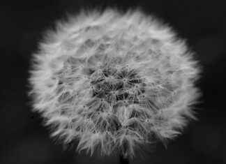 Esquelas en Tineo – Consulta las esquelas de Tineo hoy y encuentra los avisos más recientes Esquelas en Tineo – Consulta las esquelas de Tineo hoy y encuentra los avisos más recientes