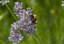 Esquelas Puente Villarente Hoy Esquelas Puente Villarente Hoy