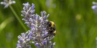 Esquelas Puente Villarente Hoy Esquelas Puente Villarente Hoy