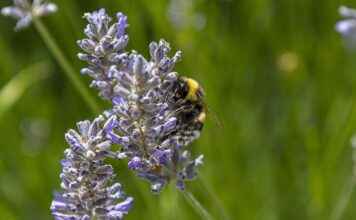 Esquelas Puente Villarente Hoy Esquelas Puente Villarente Hoy