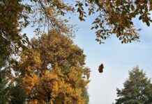 fallecimientos hoy en huesca capital fallecimientos hoy en huesca capital