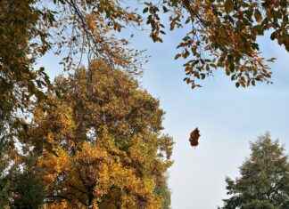 fallecimientos hoy en huesca capital fallecimientos hoy en huesca capital