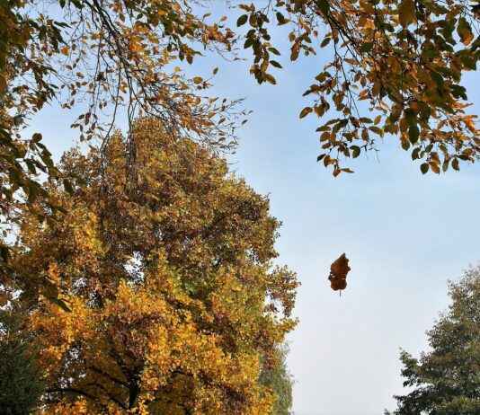 fallecimientos hoy en huesca capital fallecimientos hoy en huesca capital