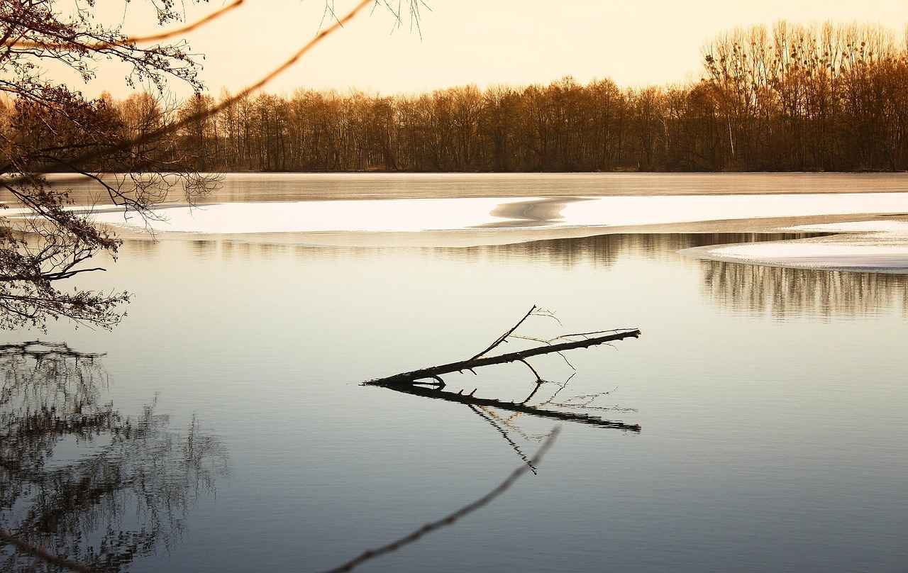¿Qué impacto tienen los fallecimientos en la salud mental de la comunidad?