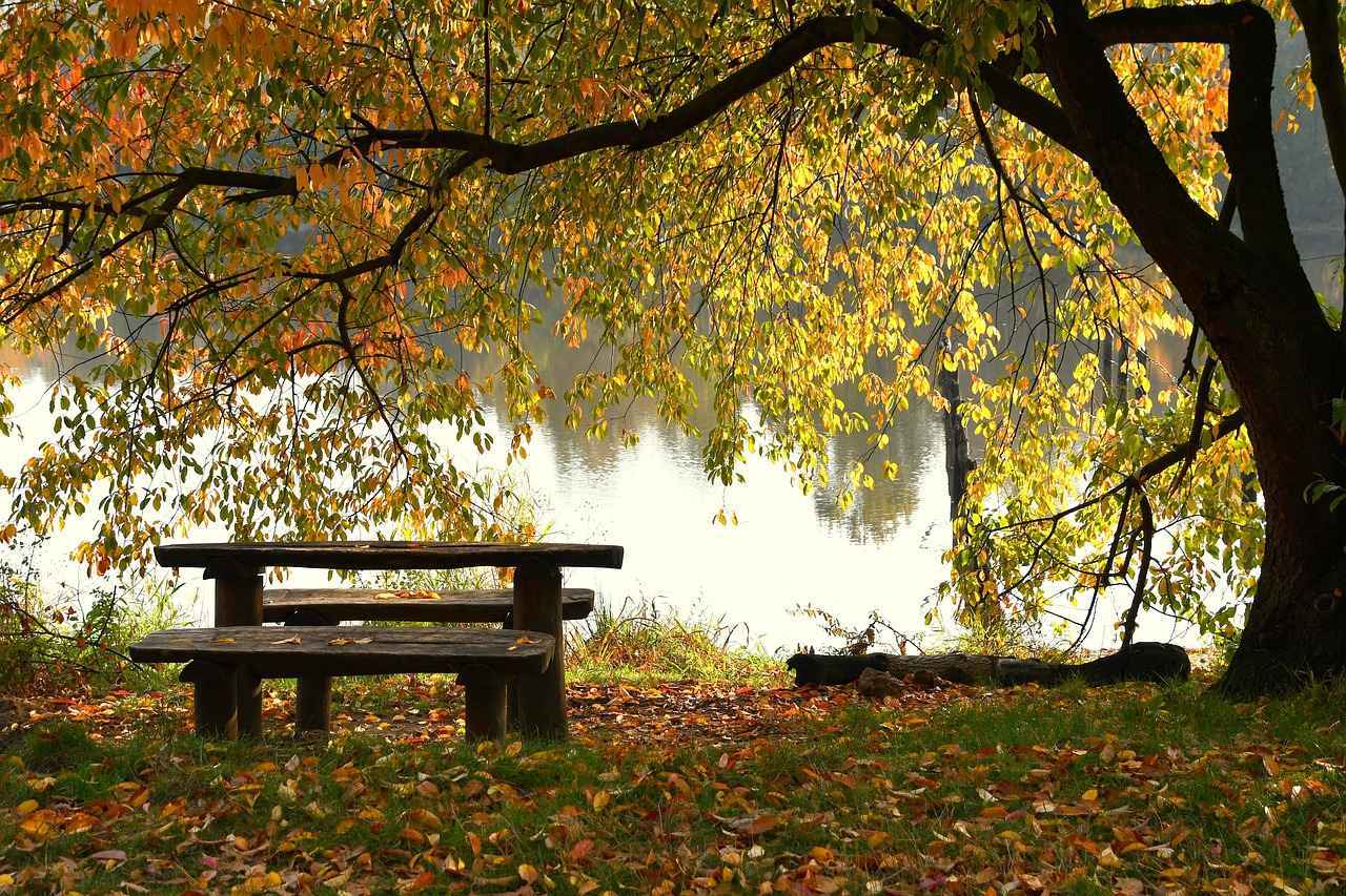 ¿Cuáles son los procedimientos para registrar un fallecimiento?